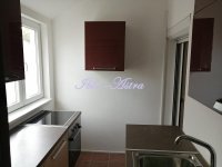 Nekretnina: Dupleks za izdavanje kod Pinka ID#1104801