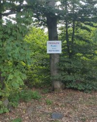 Nekretnina: Prodajem plac na planini Goč