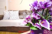 Nekretnina: 2.0 stan-Skadarlija-Strahinjića Bana ID#3545