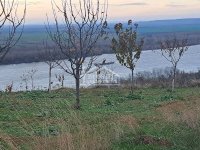 Nekretnina: Grocka - Ritopek - 36,5ari ID#24681