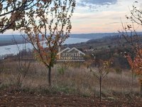 Nekretnina: Grocka - Ritopek - 36,5ari ID#24681