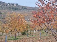 Nekretnina: Grocka - Ritopek - 36,5ari ID#24681