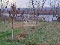 Nekretnina: Grocka - Ritopek - 36,5ari ID#24681