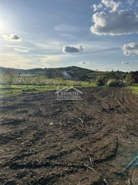 Nekretnina: Grocka - Zaklopača - 15a ID#24680