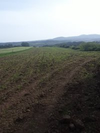 Nekretnina: Placevi na prodaju Mladenovac-Vlaška