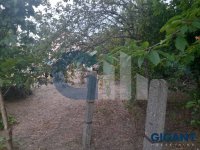 Nekretnina: ZEMUN Vojvode Čupića ID: 805131052