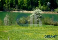 Nekretnina: OKOLNO MESTO ID: 901661153