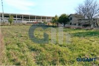 Nekretnina: PALILULA Zage Malivuk-Krnjača ID: 837292426