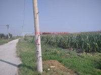 Nekretnina: PALILULA Vajfertova - Ovča ID: 855772112