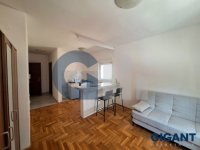 Nekretnina: ZVEZDARA Kovačeva ID: 91976441