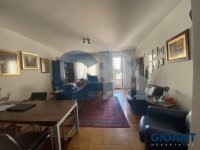 Nekretnina: ZVEZDARA Gajeva-Zvezdara ID: 94359260