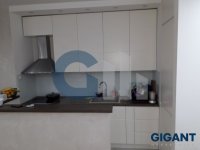 Nekretnina: ZVEZDARA Radoja Domanovića-Zvezdara ID: 92310527