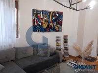 Nekretnina: PALILULA Stanoja Glavaša ID: 9515652