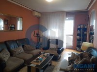 Nekretnina: RAKOVICA Borska ID: 91221801