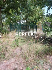 Nekretnina: Kuća sa 11 ari placa!