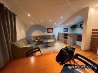 Nekretnina: ZEMUN Martina Lutera Kinga ID: 9555035