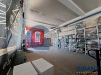 Nekretnina: ZVEZDARA Miloša Savkovića ID: 94116402