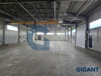 Nekretnina: CUKARICA Obrenovački drum ID: 892321502