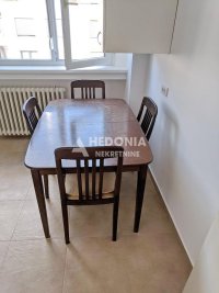 Nekretnina: Šumarski fakultet, izdavnje, 1.0, namešten, svetao ID#10339