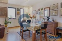 Nekretnina: VRACAR Šumatovačka ID: 92731603