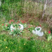 Nekretnina: Obrenovac, Konatice, trosobna, prizemna kuća ID#10350