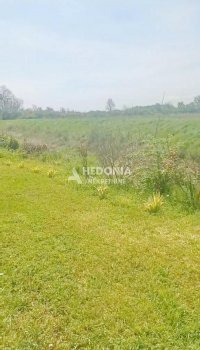 Nekretnina: Obrenovac, Konatice, trosobna, prizemna kuća ID#10350