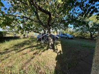 Nekretnina: Smederevo - Leštar - 10a ID#24524