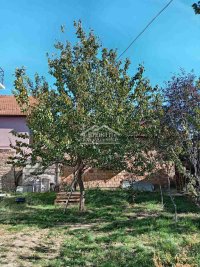 Nekretnina: Pančevo - Starčevo, Radničko naselje - 359m2 na 4ara ID#24772
