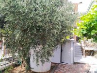 Nekretnina: Crna Gora, Bar, Sutomore, 210m2- 8 apartmana