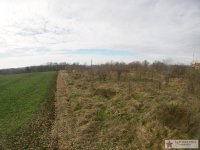 Nekretnina: Čukarica, Umka, Rucka plac 37.09ari