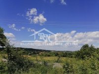 Nekretnina: Kosmaj, kuća za kompletnu adaptaciju, plac 21,5 ari ID#1595