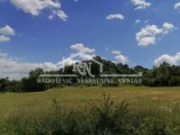 Nekretnina: Kosmaj, kuća za kompletnu adaptaciju, plac 21,5 ari ID#1595