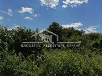 Nekretnina: Kosmaj, kuća za kompletnu adaptaciju, plac 21,5 ari ID#1595