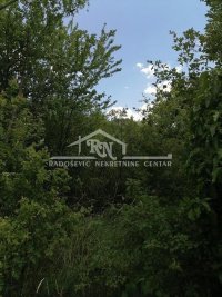 Nekretnina: Kosmaj, kuća za kompletnu adaptaciju, plac 21,5 ari ID#1595