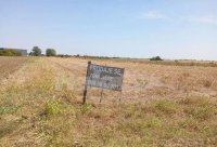 Nekretnina: Dobanovci-gradjevinsko zemljiste 103 ara