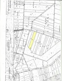 Nekretnina: Dobanovci-gradjevinsko zemljiste 103 ara