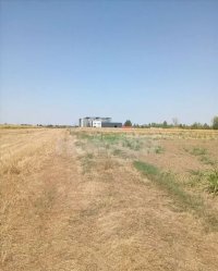 Nekretnina: Dobanovci-gradjevinsko zemljiste 103 ara