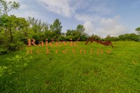 Nekretnina: VOZDOVAC Brdjani ID: 93004