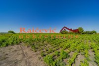 Nekretnina: SIMANOVCI Prhovacka ID: 90954