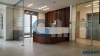 Nekretnina: NOVI BEOGRAD Trešnjinog cveta ID: 94620