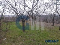 Nekretnina: ZVEZDARA Stanojeva livada ID: 960998