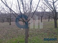 Nekretnina: ZVEZDARA Stanojeva livada ID: 960998