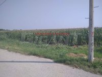 Nekretnina: PALILULA Vajfertova - Ovča ID: 855772322