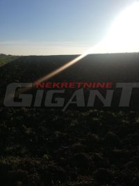 Nekretnina: SURCIN ID: 82194