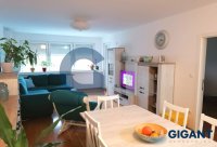 Nekretnina: PALILULA Milorada Dimitrijevića ID: 95135224