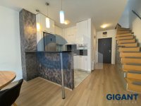 Nekretnina: VRACAR Golubačka ID: 93761632