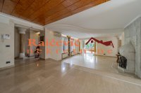 Nekretnina: SURCIN Surcin ID: 92513