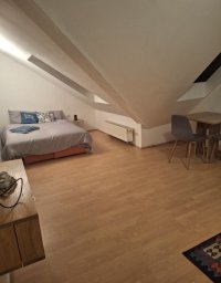 Nekretnina: Garsonjera, NOVI SAD, GRBAVICA