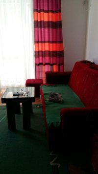 Nekretnina: Vrnjačka banja, Snežnik, Boška Buhe, 46m2