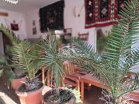 Nekretnina: Lokal u centru Boleča ID#1599